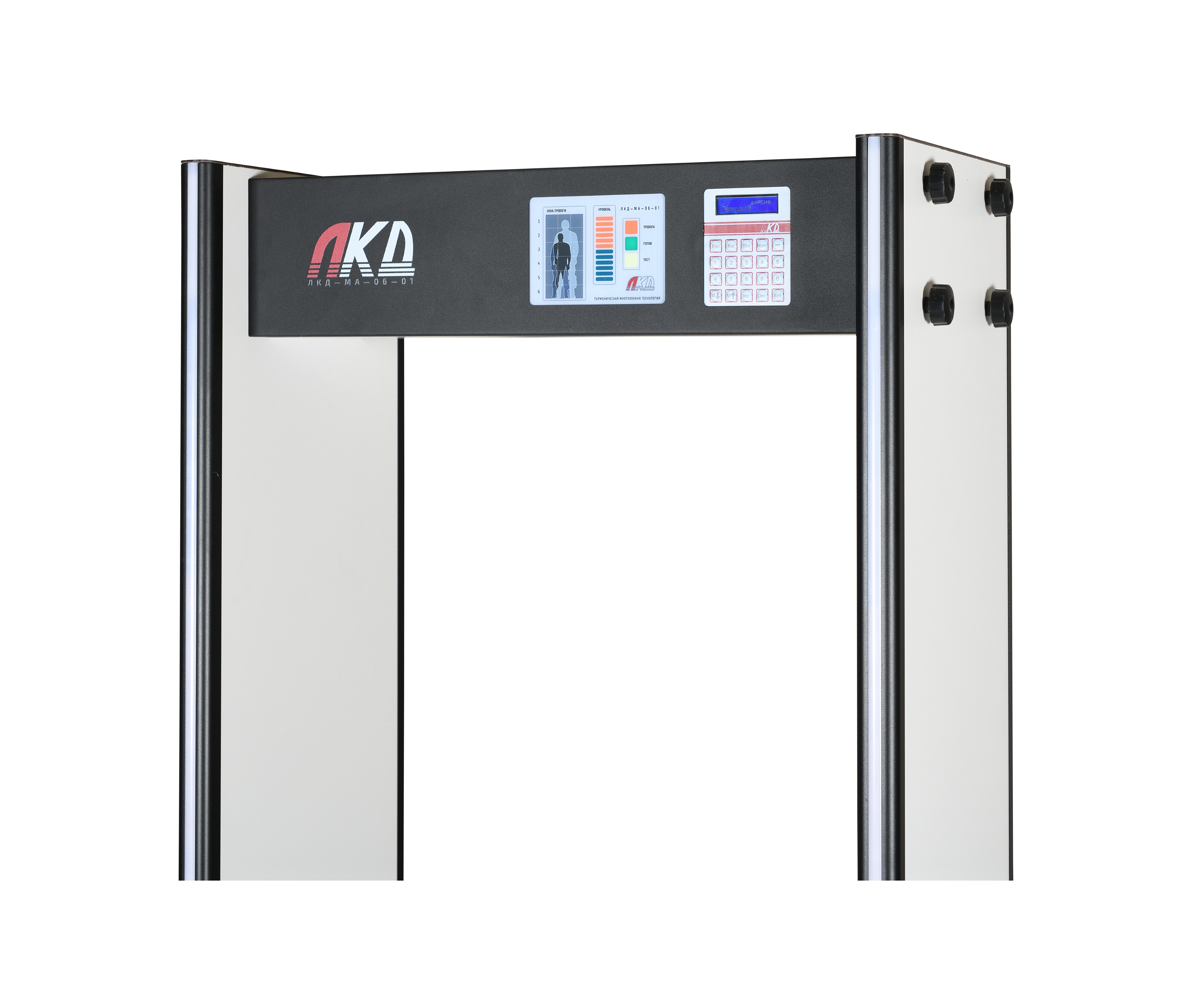 Металлодетектор стационарный ЛКД-МА-06-01 LS1001852