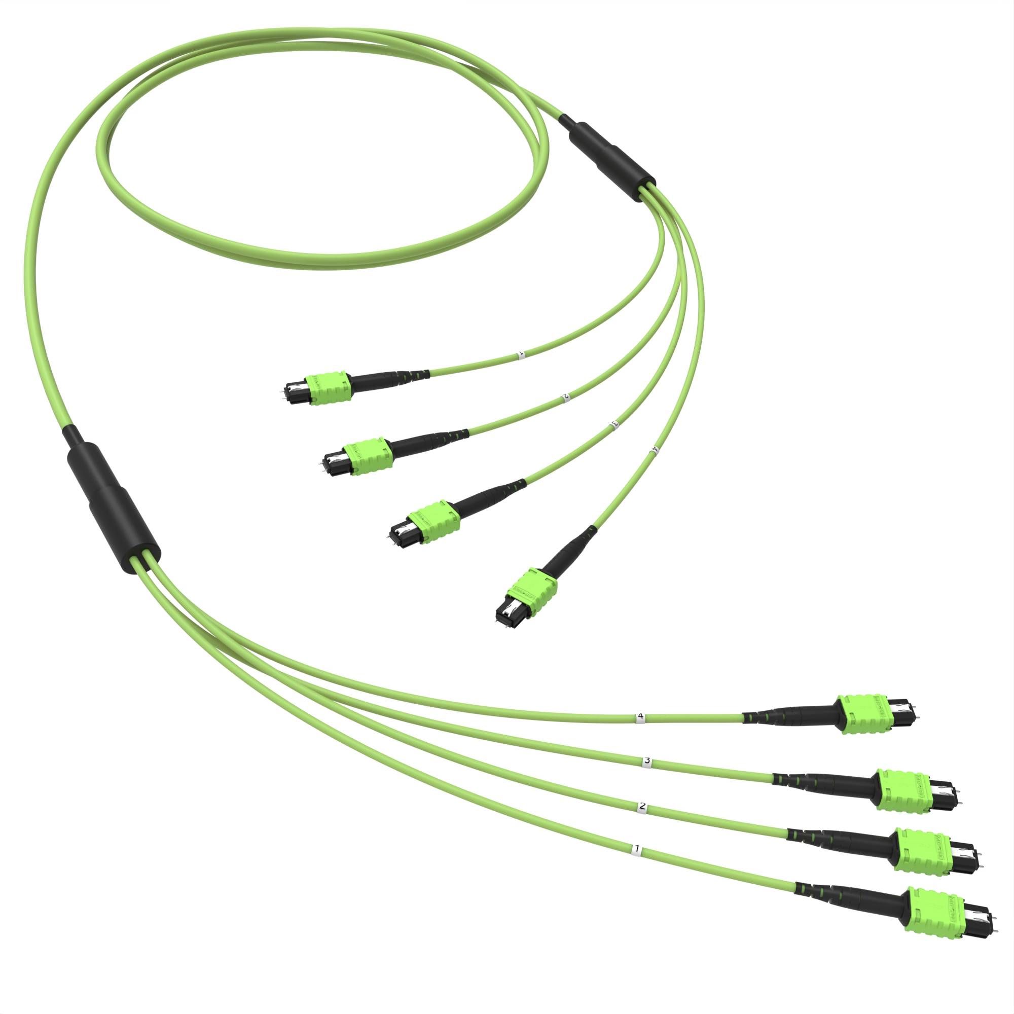 Оптическая магистральная сборка 48 ОВ 50/125 OM5, 4xMTP PRO(12)m/4xMTP PRO(12)m, тип В, 10 м