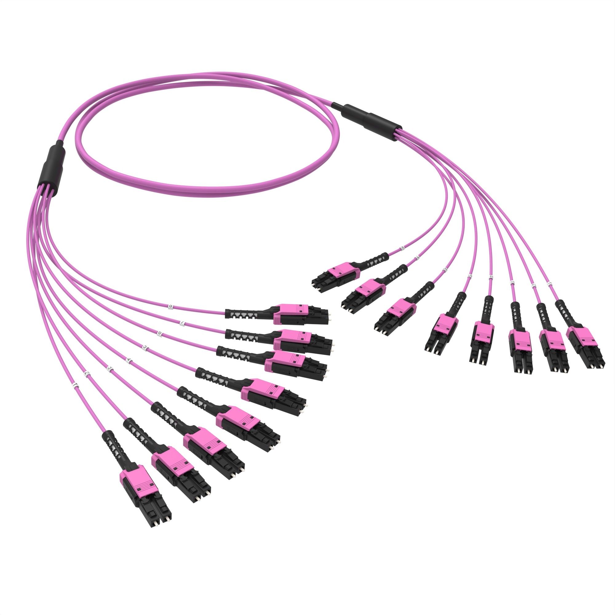 Оптическая разветвительная сборка 16 ОВ, 50/125 OM4, 8xLC-UPC двухволоконный (Duplex) Uniboot/8xLC-UPC двухволоконный (Duplex) Uniboot, тип полярности - прямая (Tx-->Rx), 2 м
