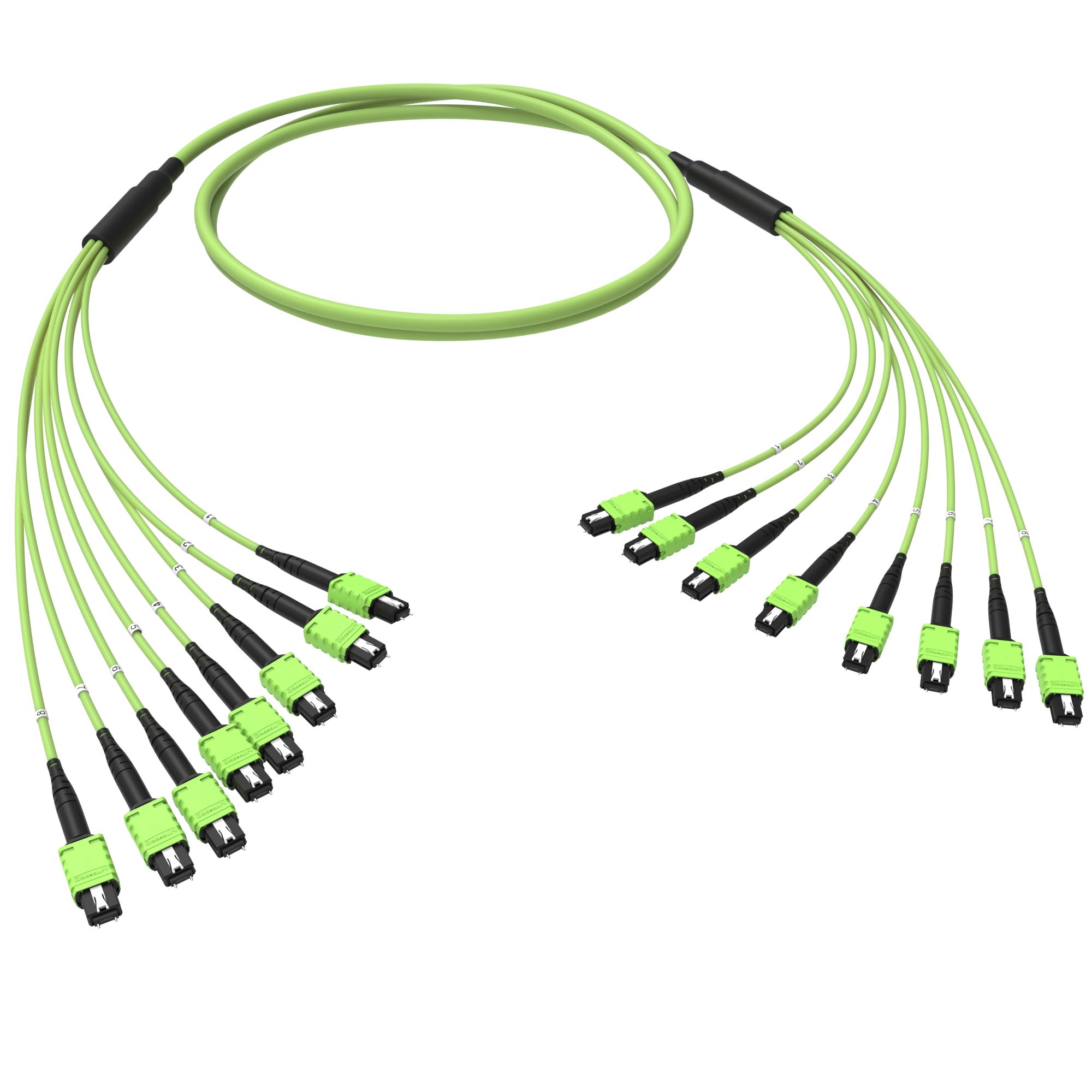Оптическая магистральная сборка 96 ОВ 50/125 OM5, 8xMTP PRO(12)m/8xMTP PRO(12)m, тип В, 100 м